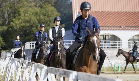 入会後の乗馬レッスン